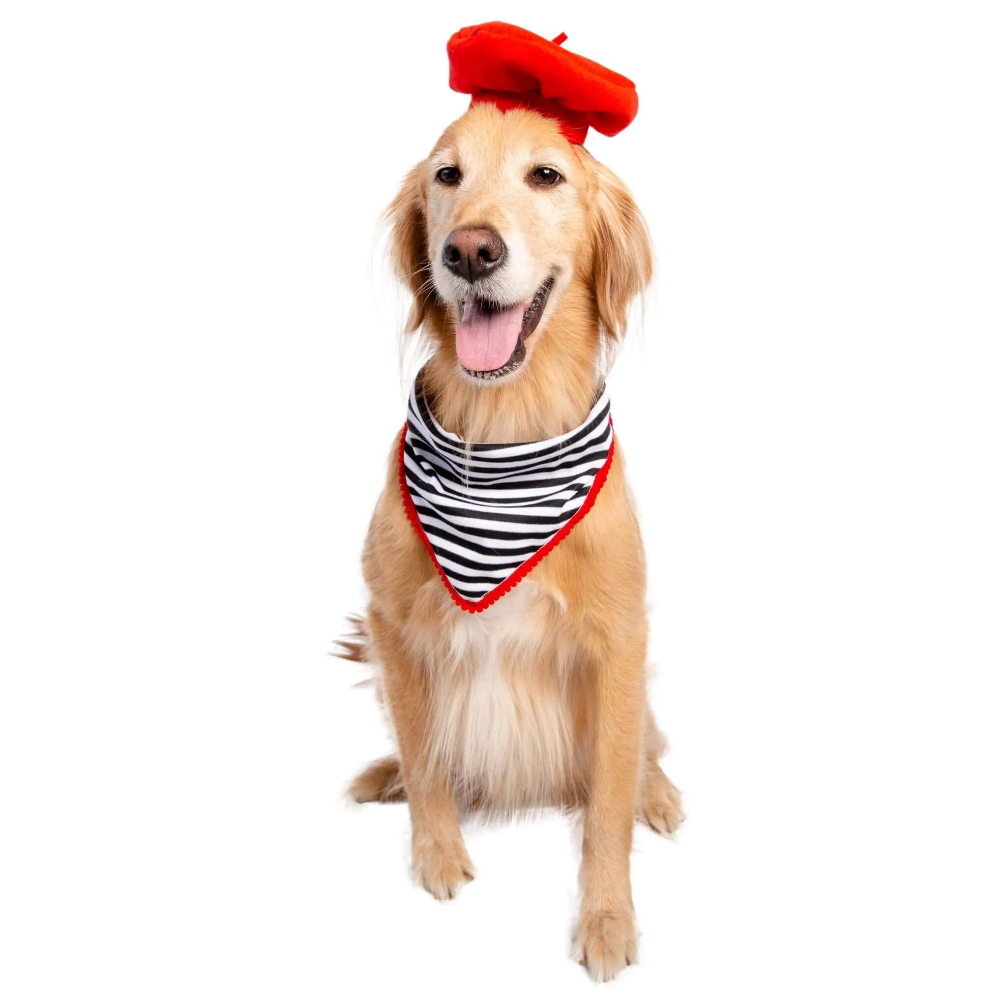 French Beret and Scarf Pet Costume