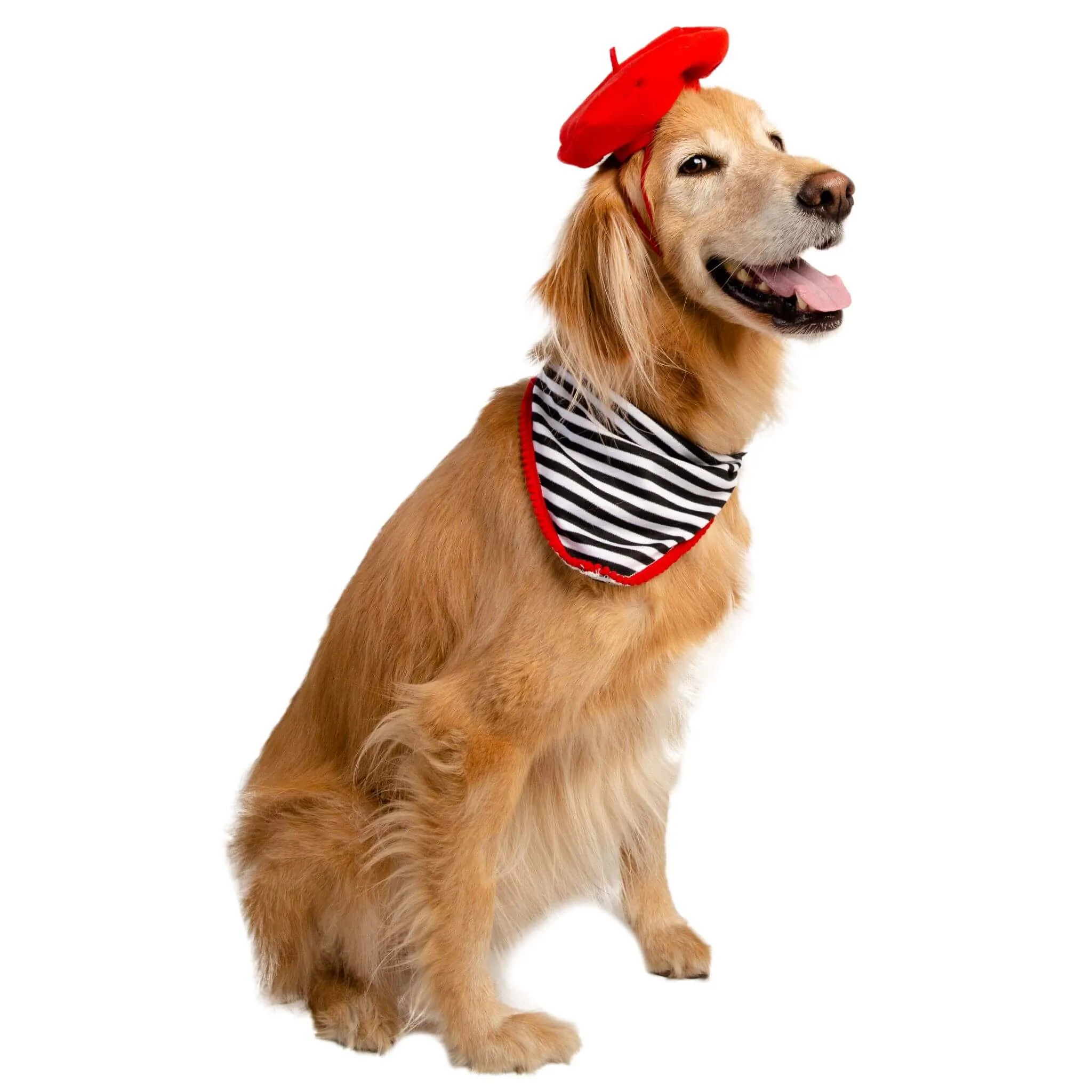 French Beret and Scarf Pet Costume