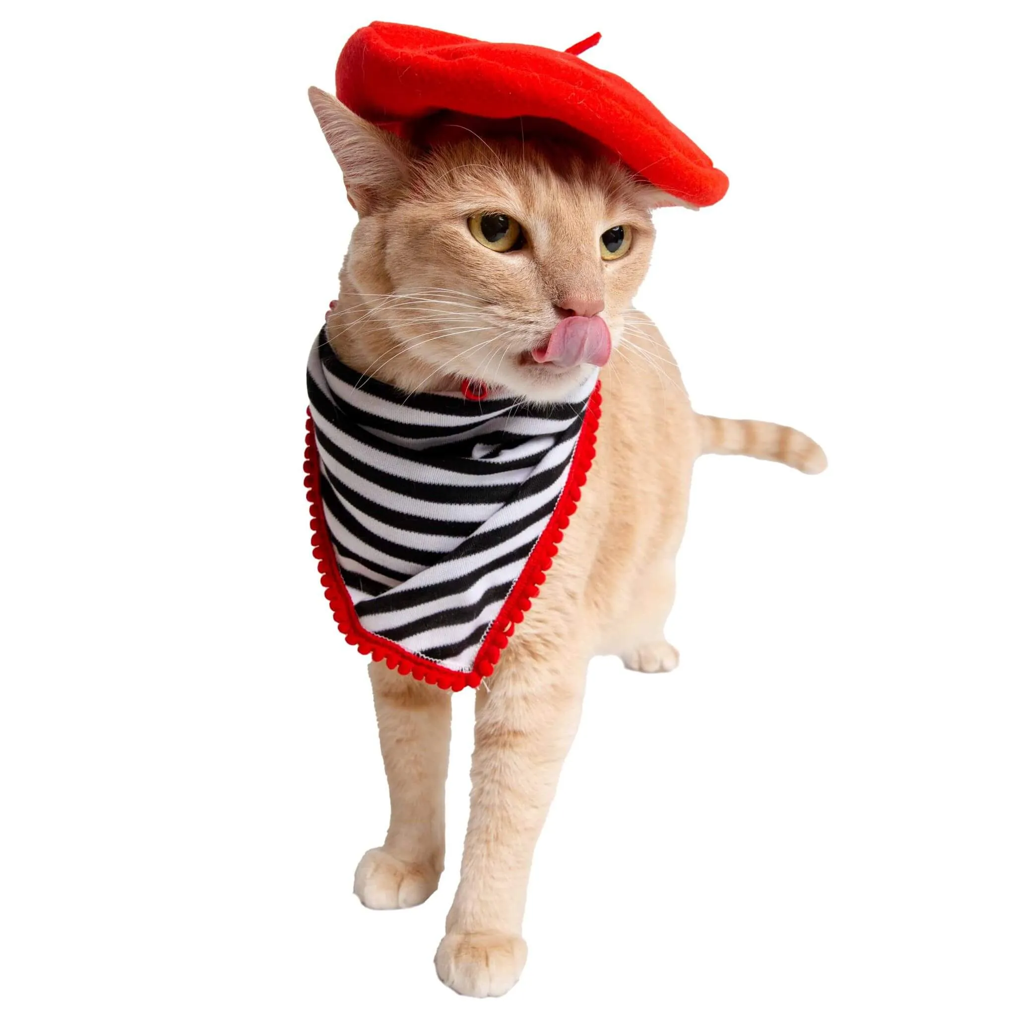 French Beret and Scarf Pet Costume