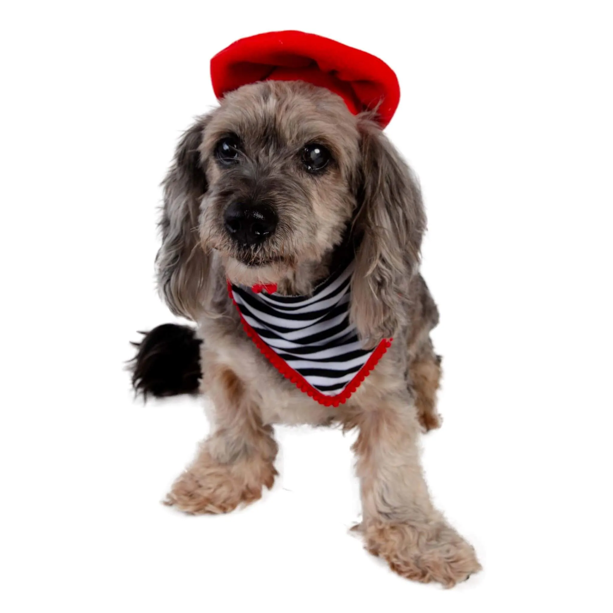 French Beret and Scarf Pet Costume