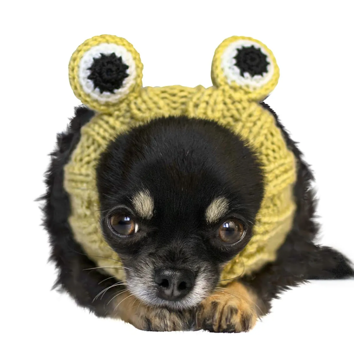 Frog Zoo Snood