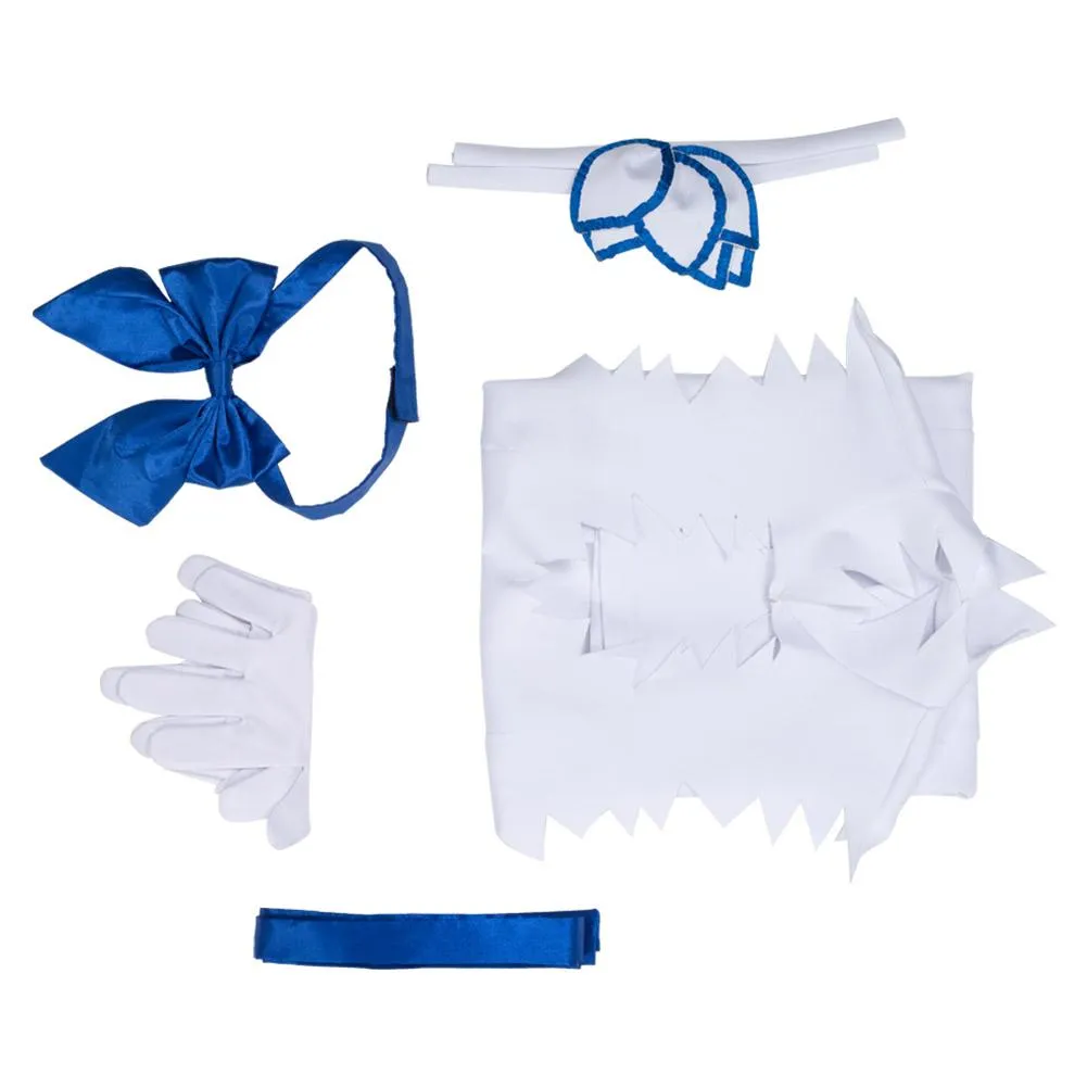 Is It Wrong to Try to Pick up Girls in a Dungeon? Hestia Cosplay Costume