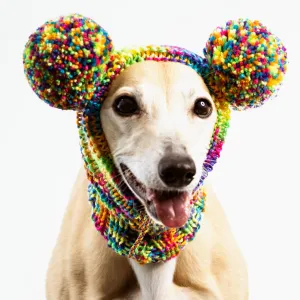 Rainbow Multicolor Pompom Hat