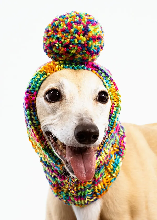 Rainbow Multicolor Pompom Hat