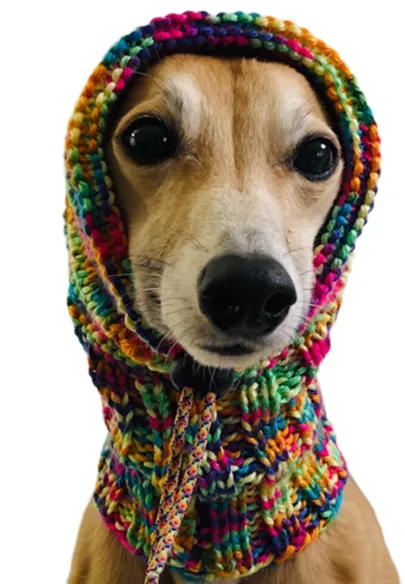 Rainbow No Pom Snood