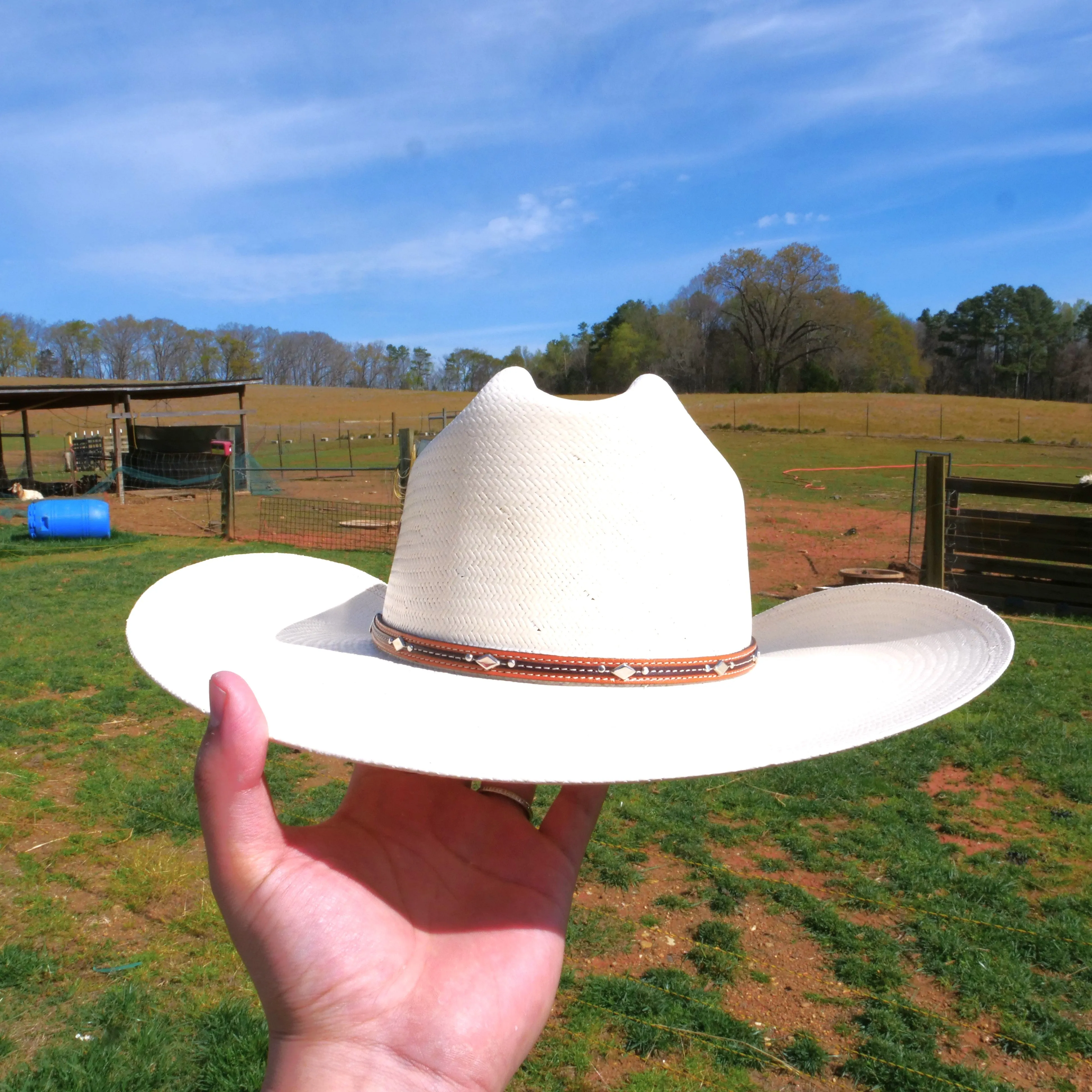 Resistol Kingman 10x Straw Cowboy Hat