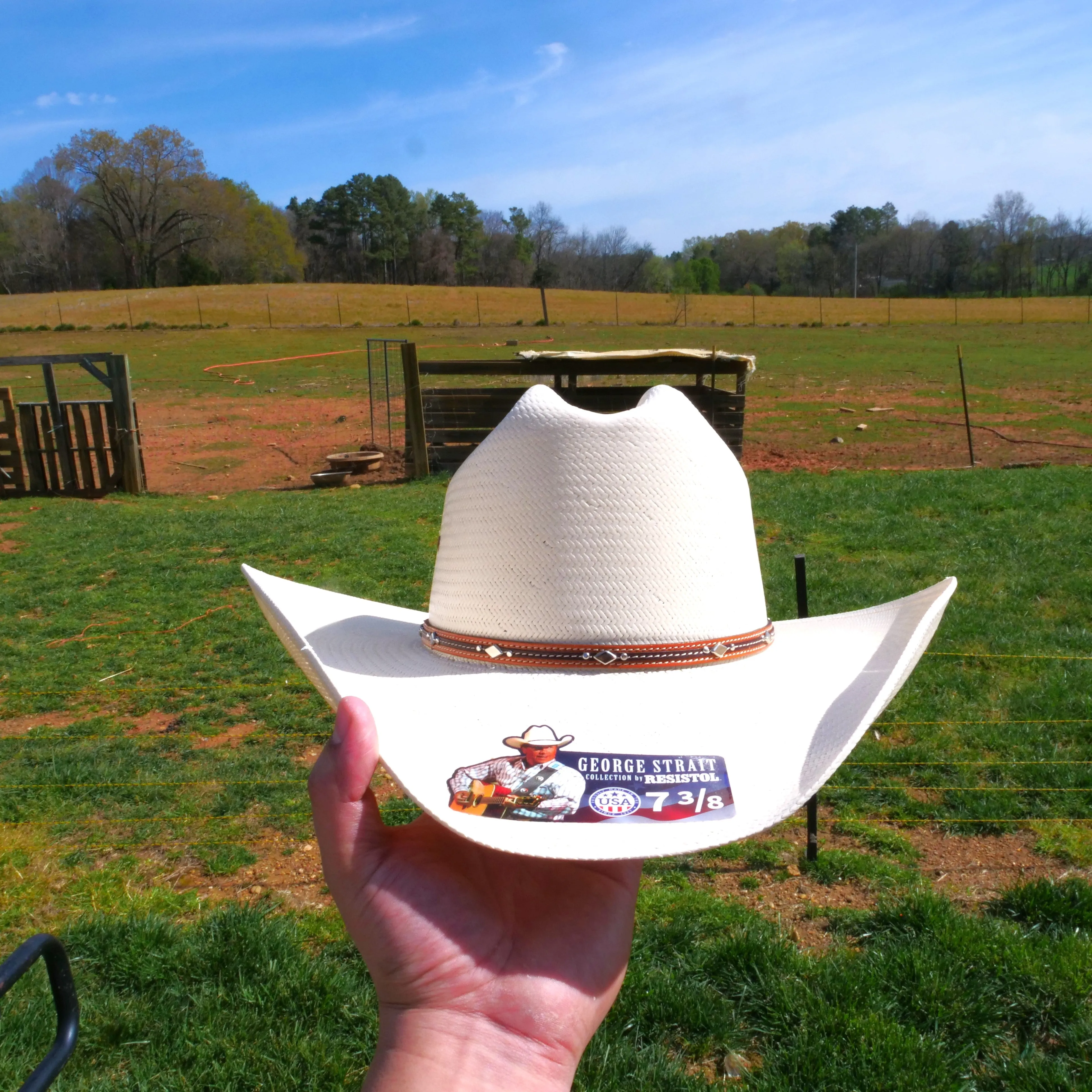 Resistol Kingman 10x Straw Cowboy Hat